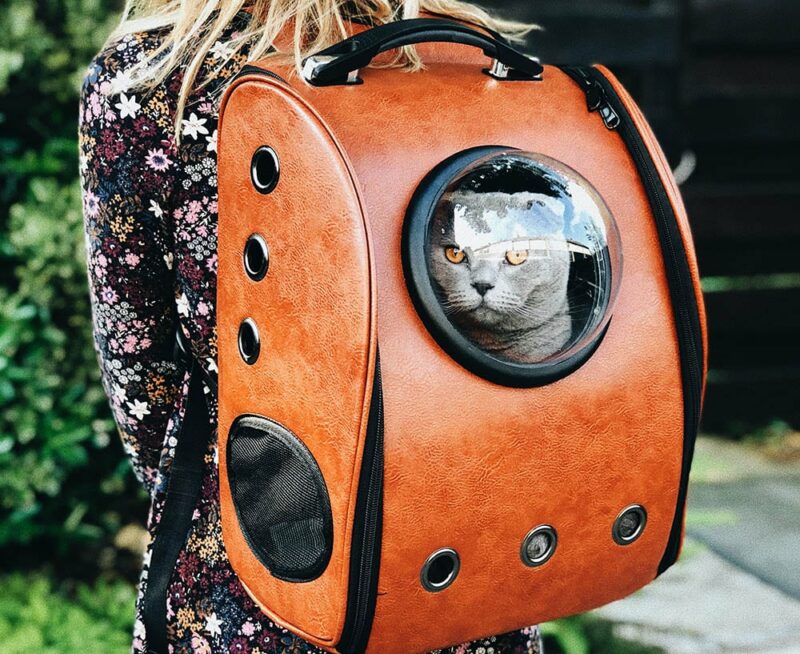 The 10 best cat carriers and cat backpacks of 2024