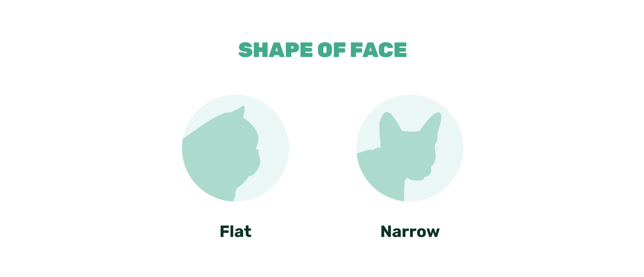 cat face shape