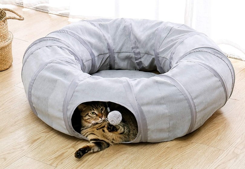 Cat Play Mat With Hanging Toys Activity Center For Bored Cats