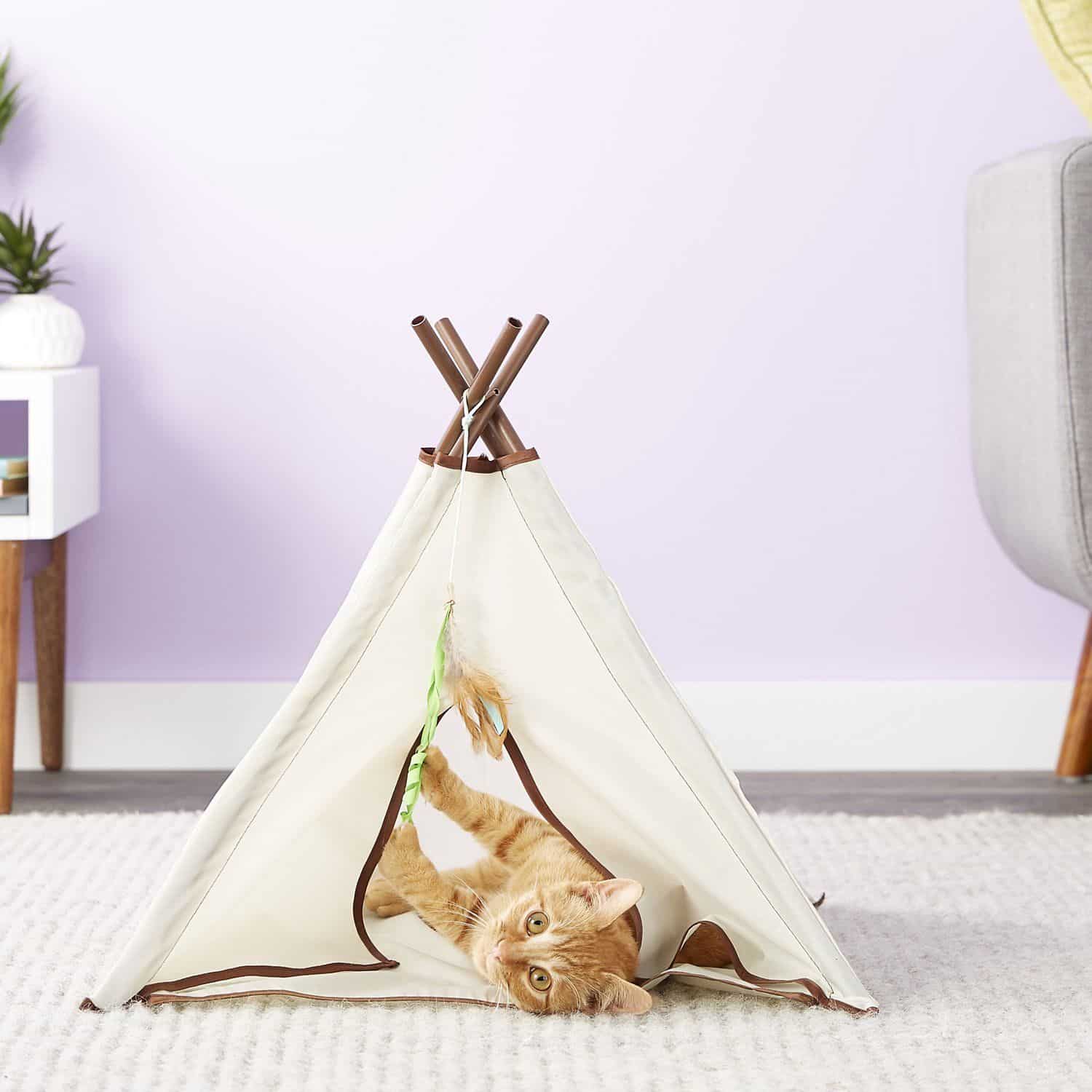 cat inside SmartyKat Kitty Camp TeePee Cat Toy