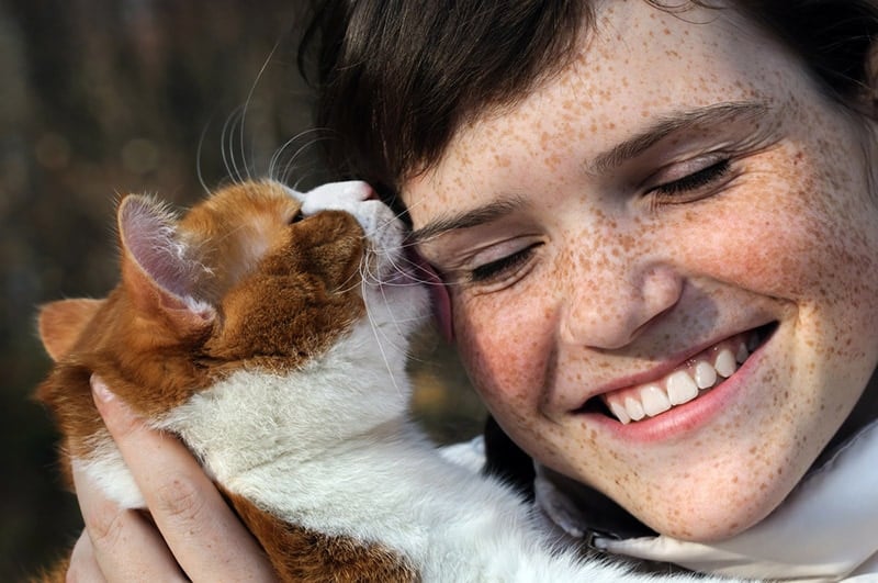 How Do Cats Show Affection? 7 Cat Affection Signs