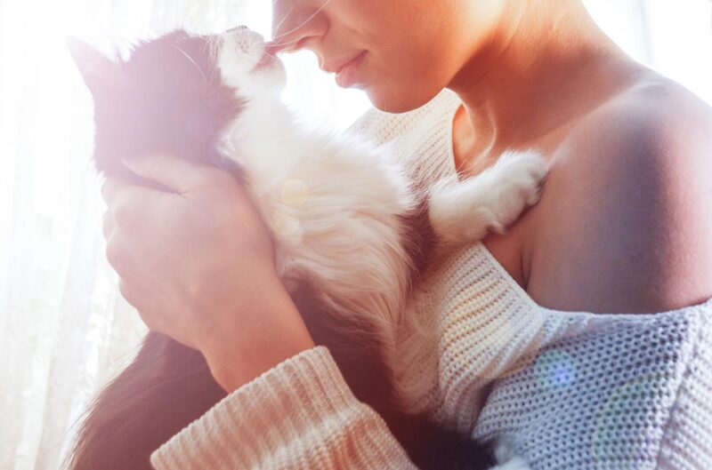 cat licking the nose of the woman