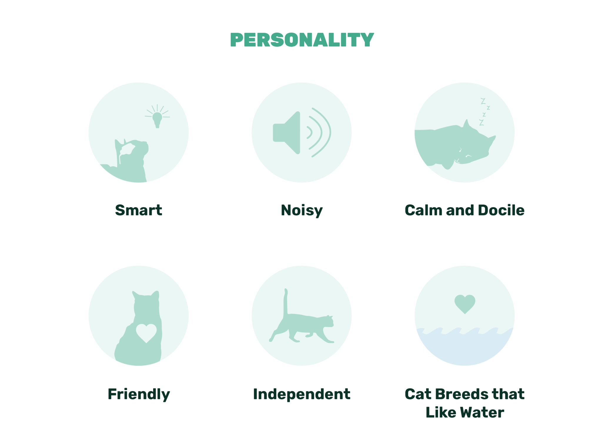 cat personalities