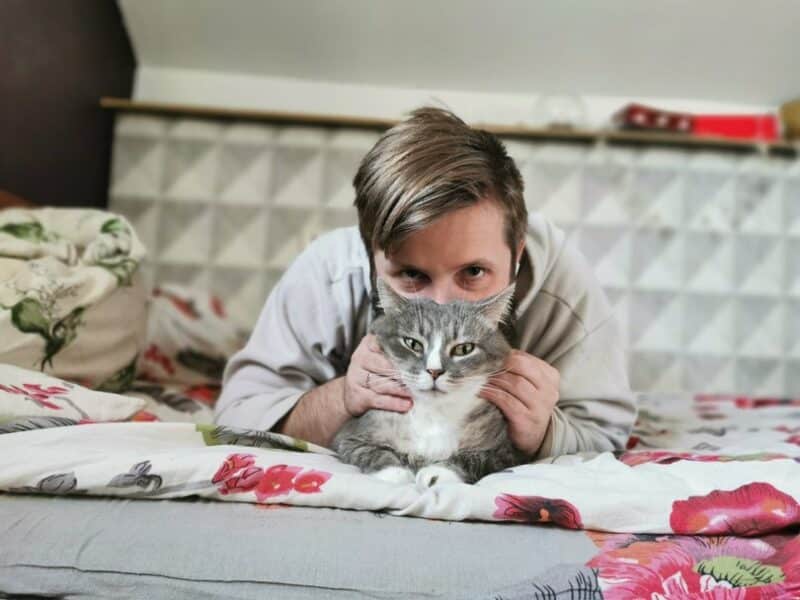 cat playing with owner