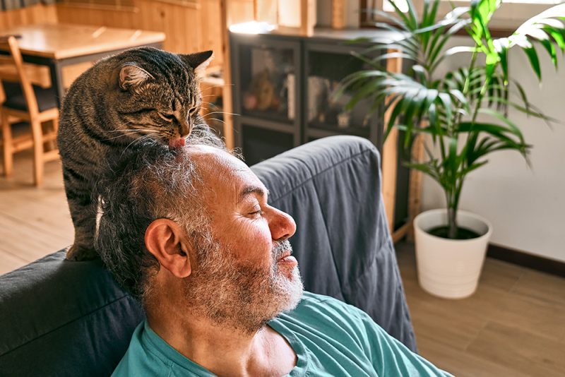 cat sitting behind the man licking his head