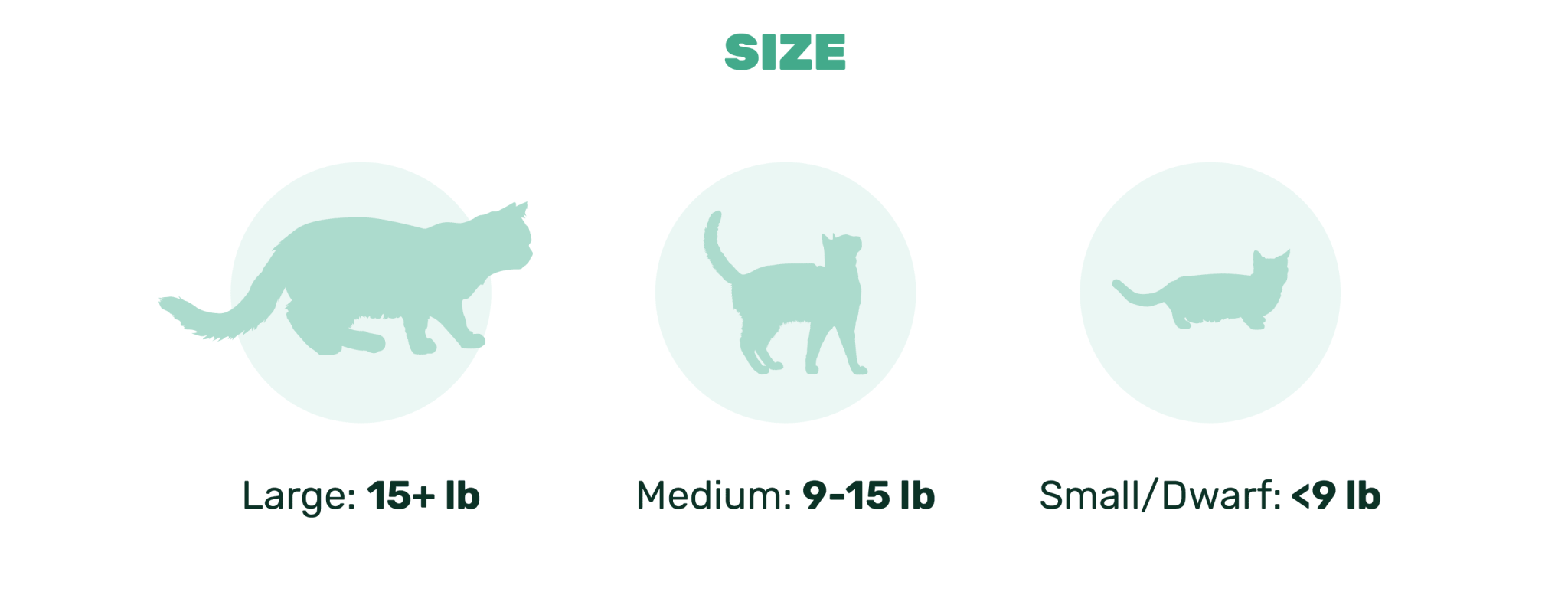 cat size infographic