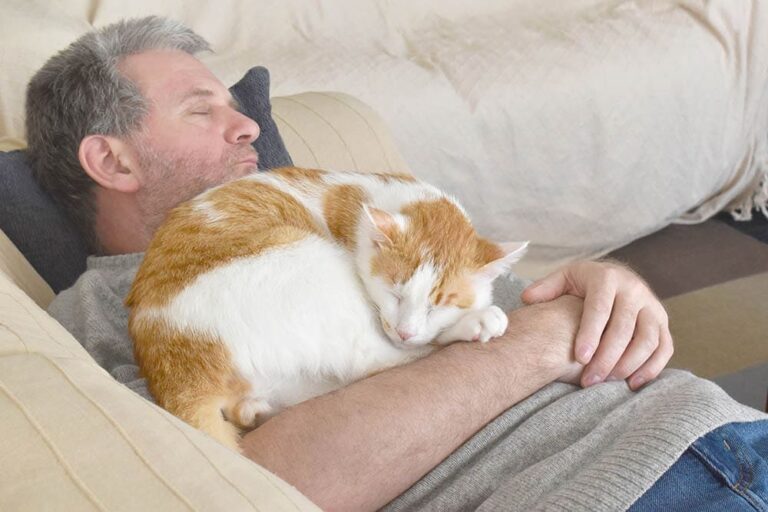 Why Does My Cat Sleep on Me? 6 Possible Reasons & Solutions Catster