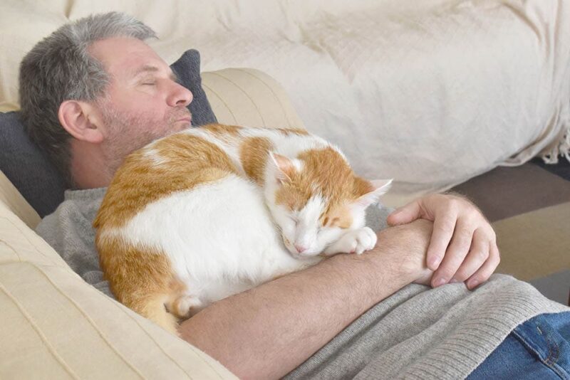 cat sleeping on its owner's chest