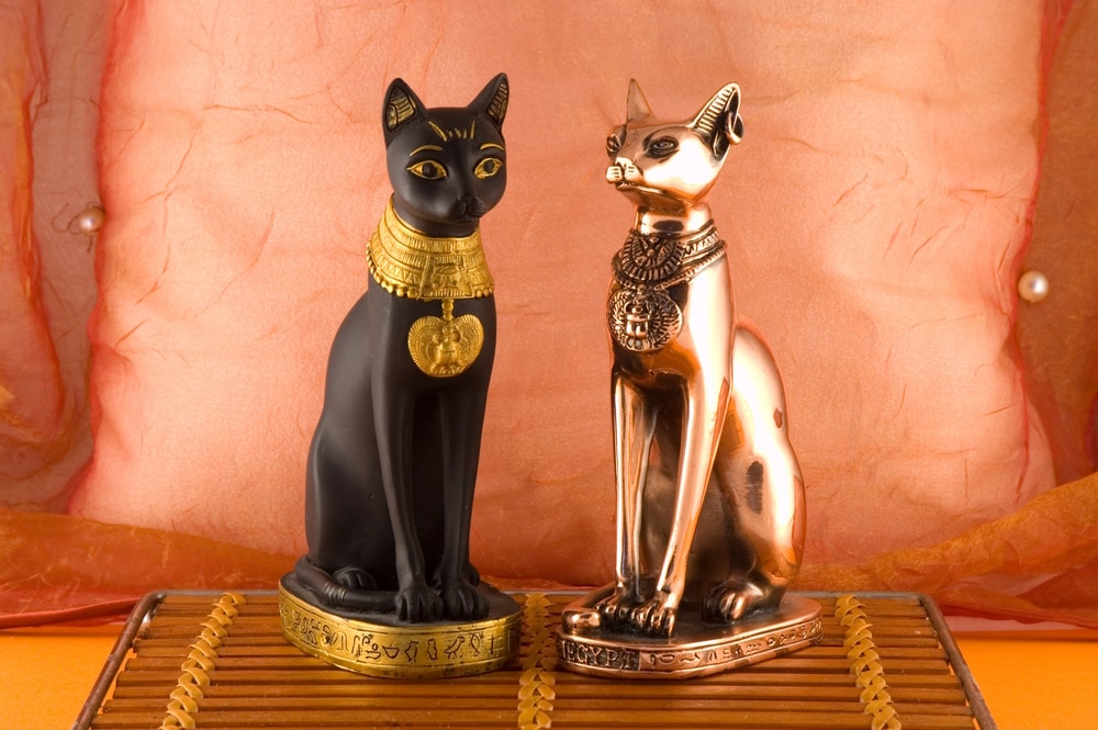 cat statues