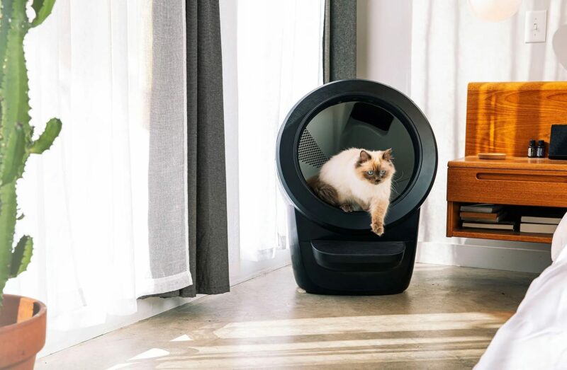 cat-using-litter-robot-4-black