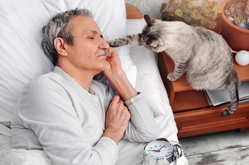 cat waking up the senior man in bed
