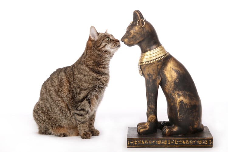 cat with egyptian statue