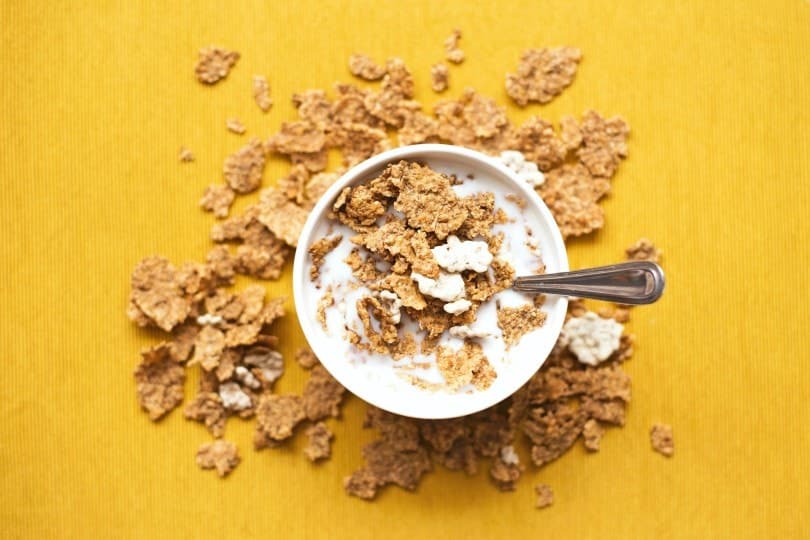 cereal in a bowl