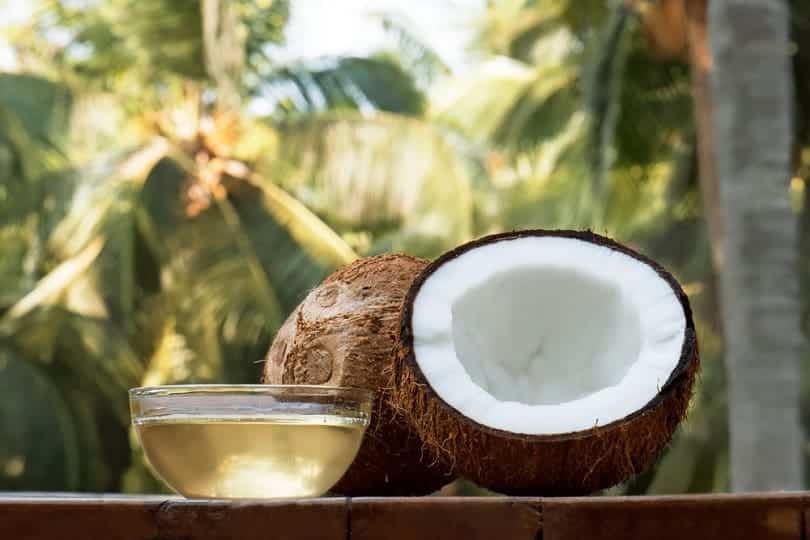 coconut and coconut oil