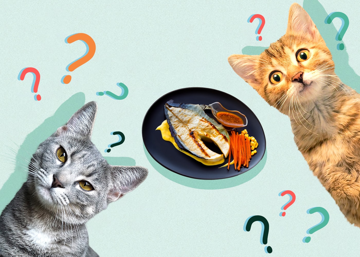 Can Cats Eat cooked-fish