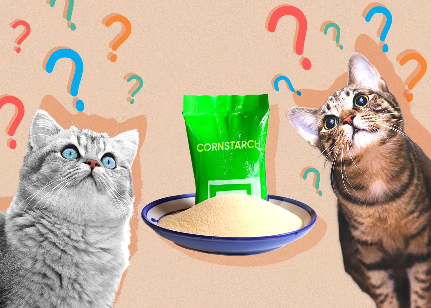 Can Cats Eat Cornstarch