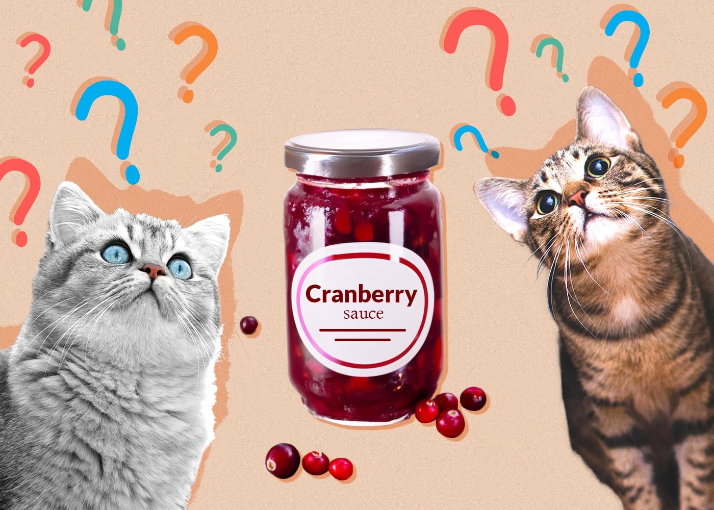 Can Cats Eat Cranberry Sauce