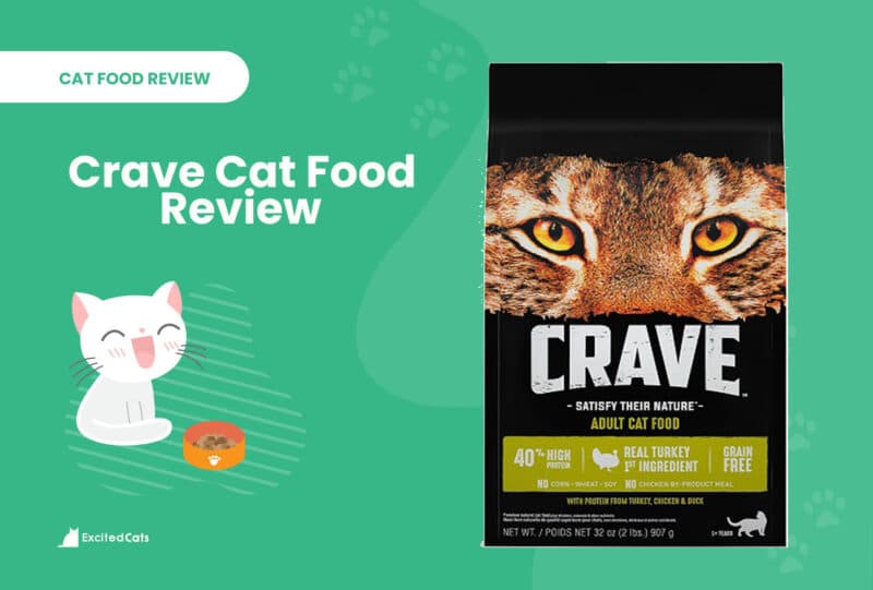 crave cat food review