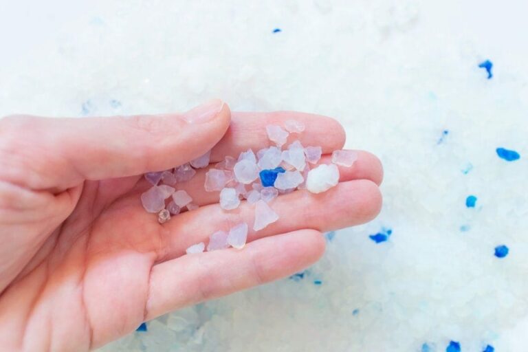 Is Silica Cat Litter Safe for Cats? VetApproved Pros, Cons & FAQ Catster