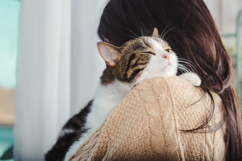 cute cat putting its chin on woman's shoulder with one eye closed