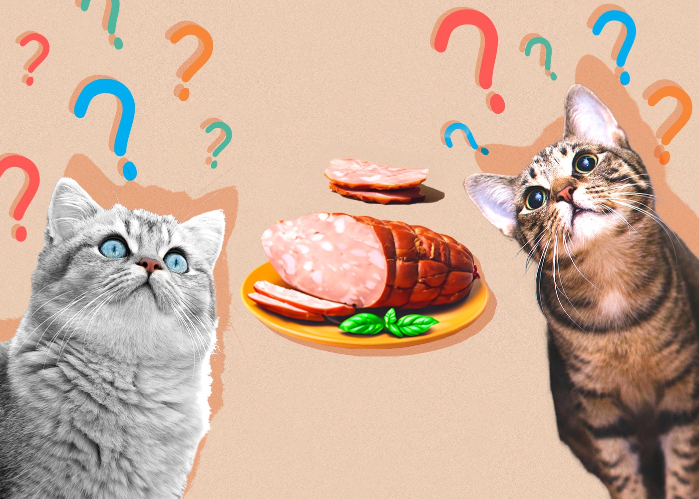 Can Cats Eat Deli Meat