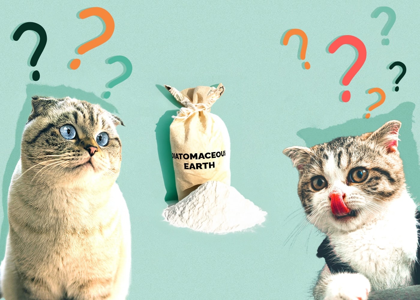 Can Cats Eat diatomaceous-earth