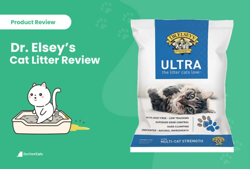 dr. elsy's litter review