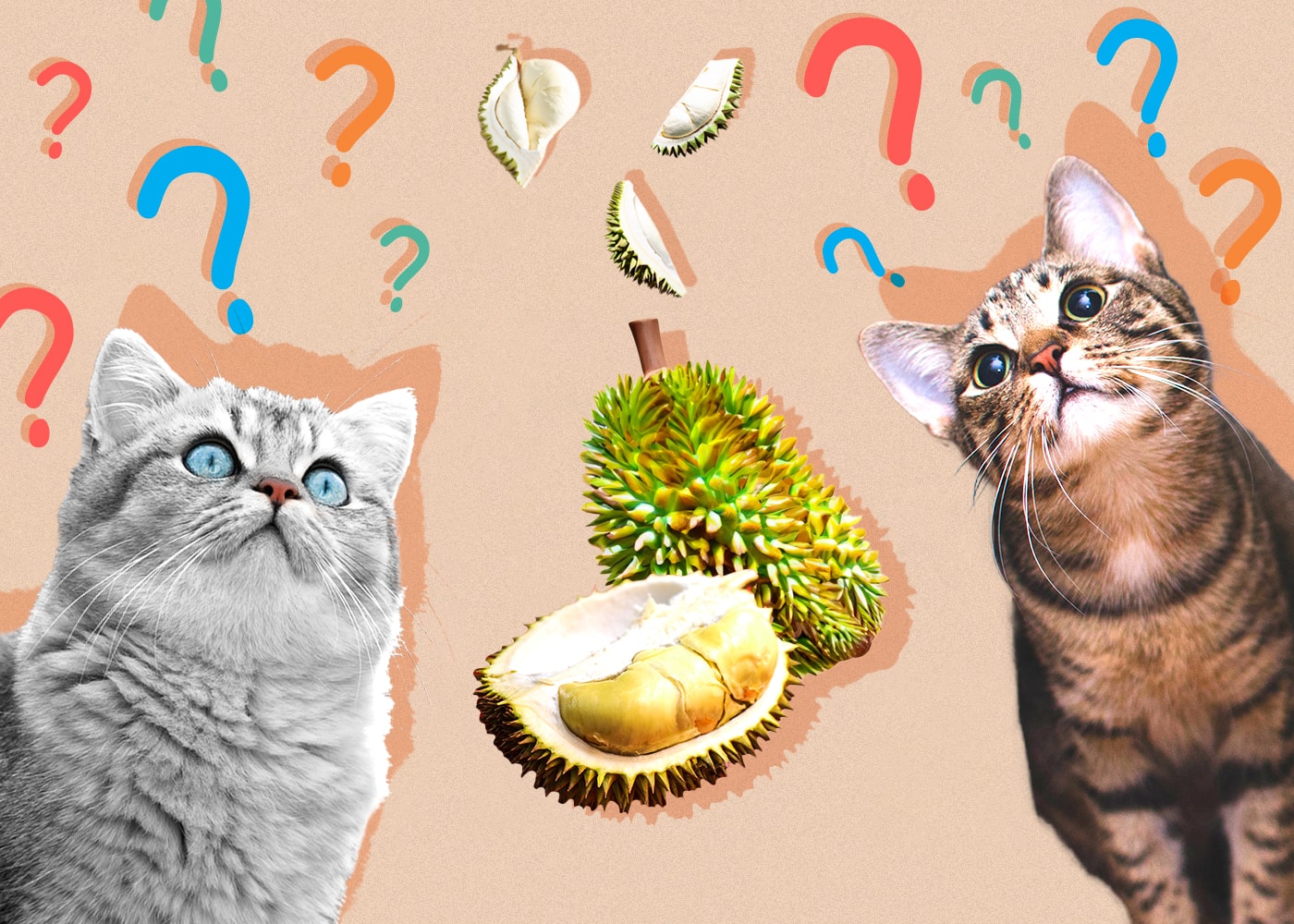 Can Cats Eat durian