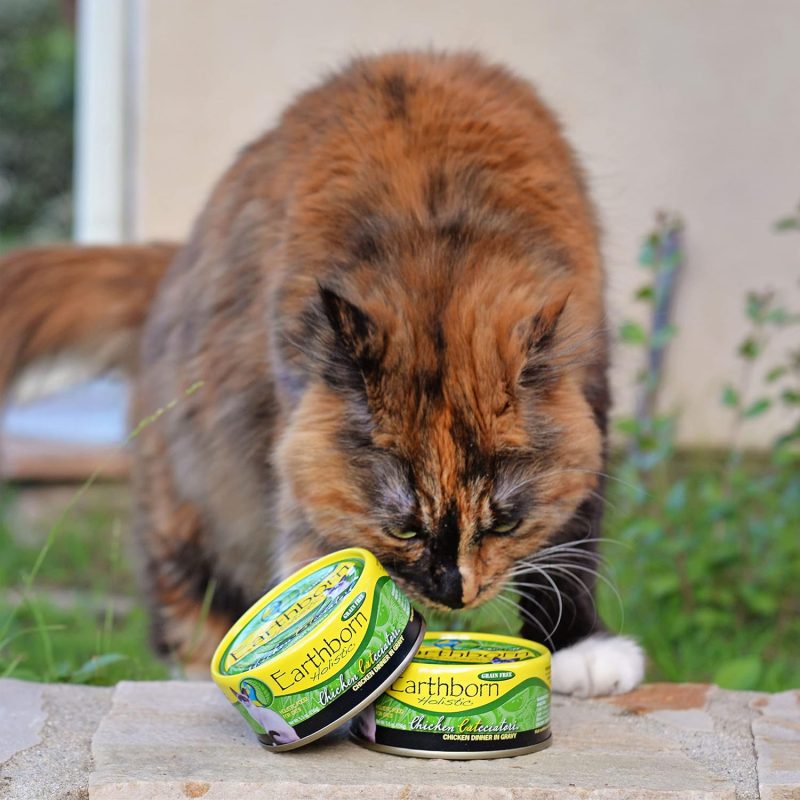 Earthborn Cat Food Review of 2024 Recalls, Pros & Cons Catster