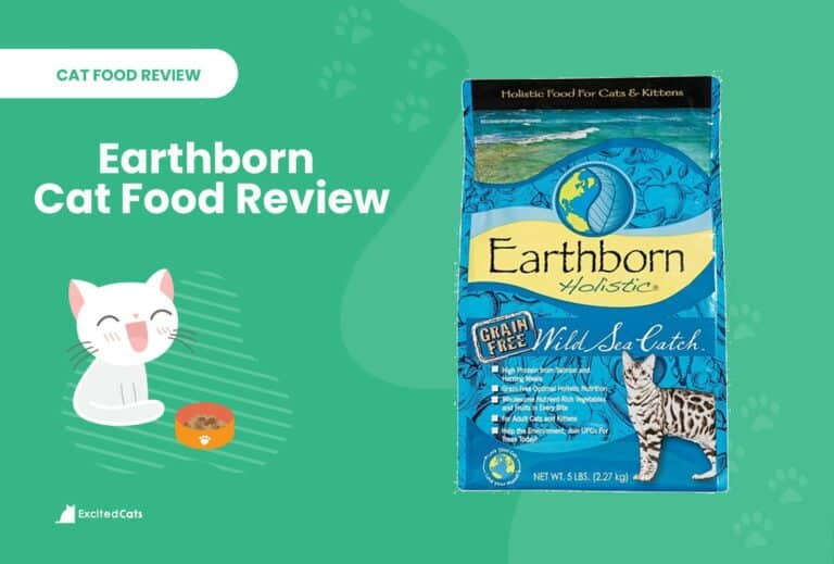 Earthborn Cat Food Review of 2024 Recalls, Pros & Cons Catster