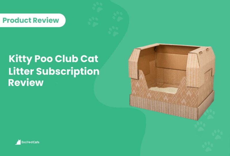 product review Kitty Poo Club Cat Litter Subscription