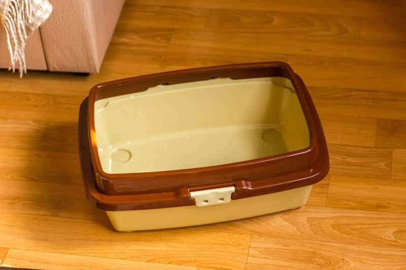 How to Clean a Cat Litter Box Our Vet Answers With Step by Step Guide