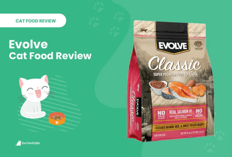 evolve cat food review