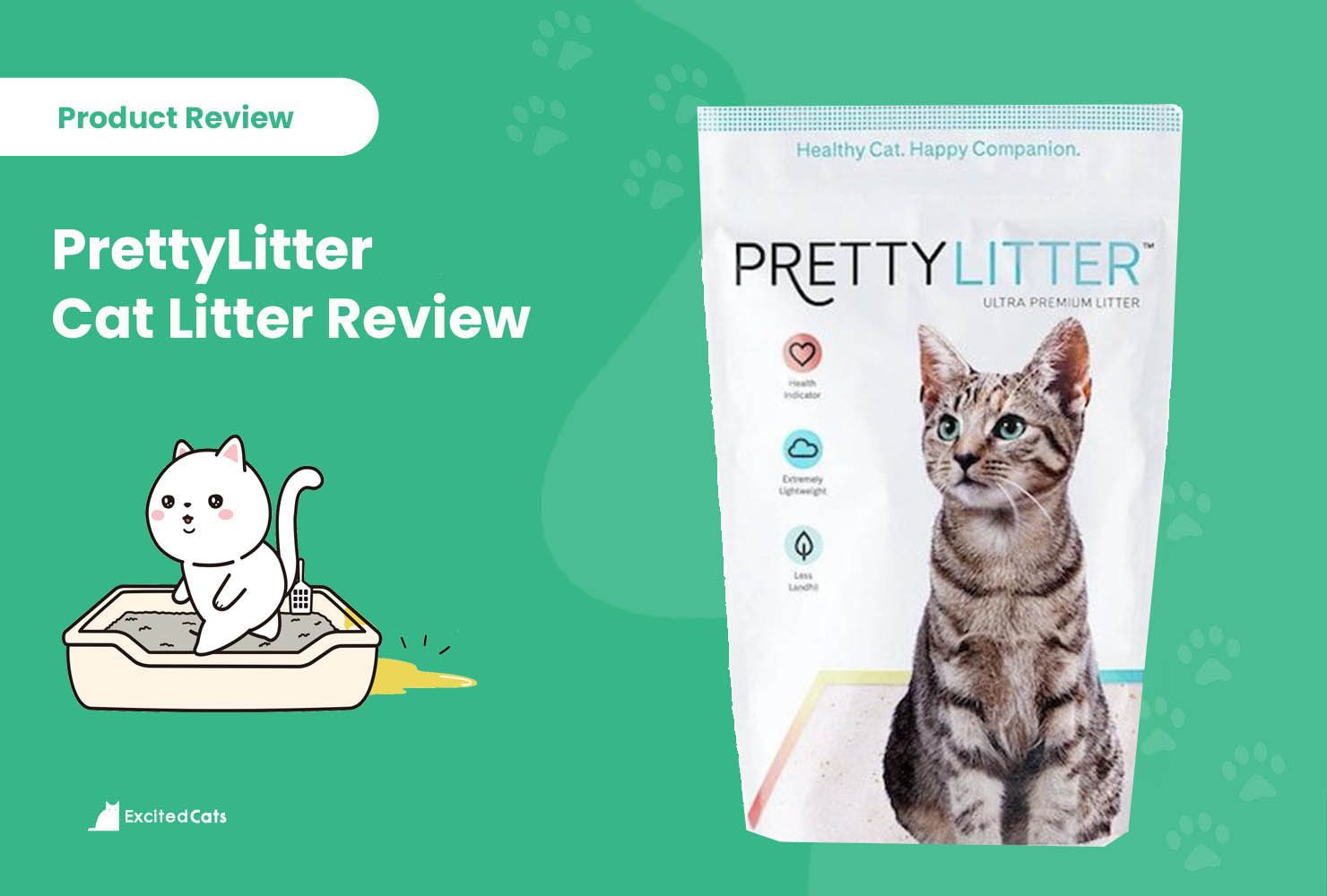 excited cats prettylitter review2