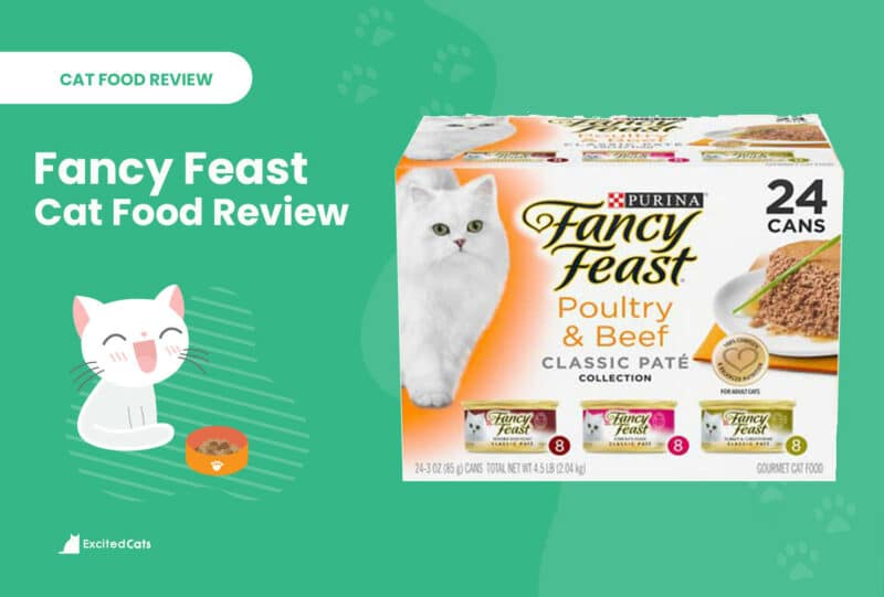 Fancy Feast Cat Food Review in 2024 Recalls Pros Cons Catster