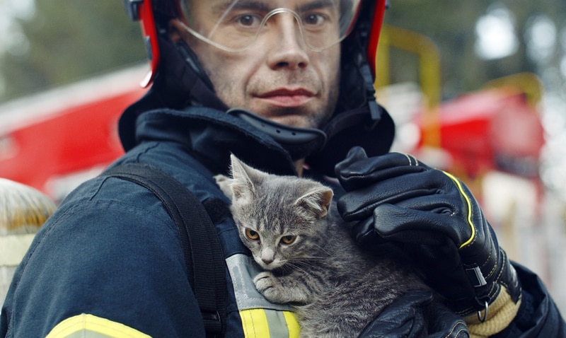 fireman holding kitten