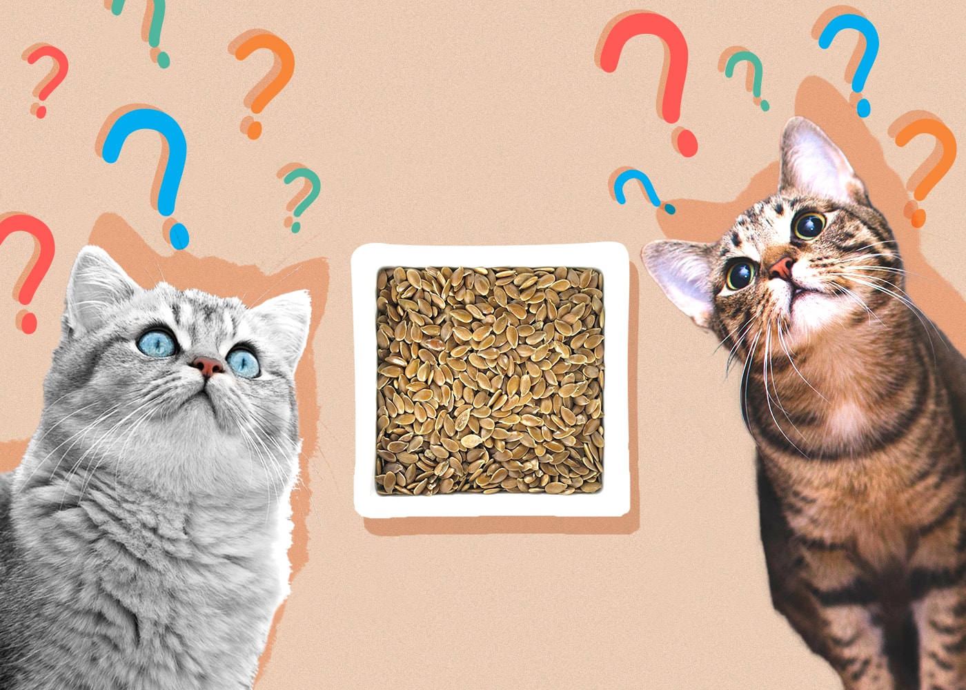 Can Cats Eat flaxseeds