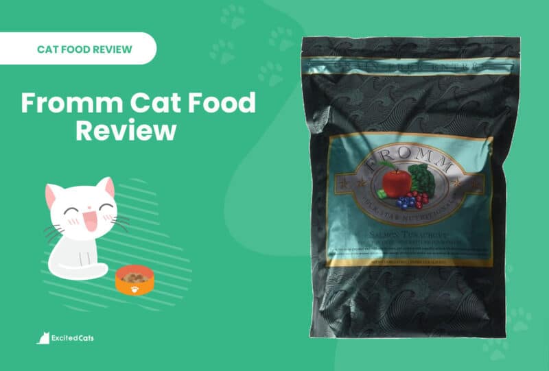 fromm cat food review