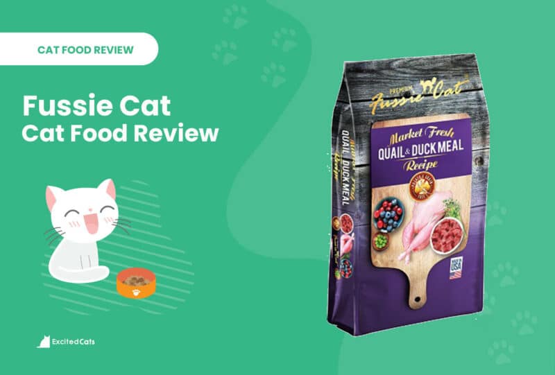 fussie cat food review