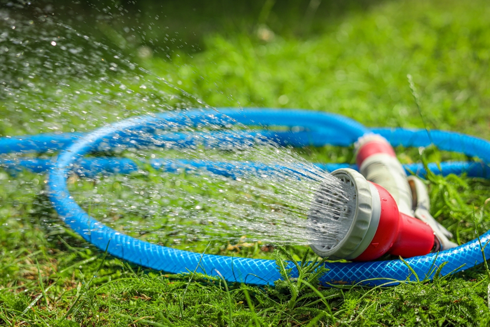 Water,Spraying,From,Hose,On,Green,Grass,Outdoors,,Closeup