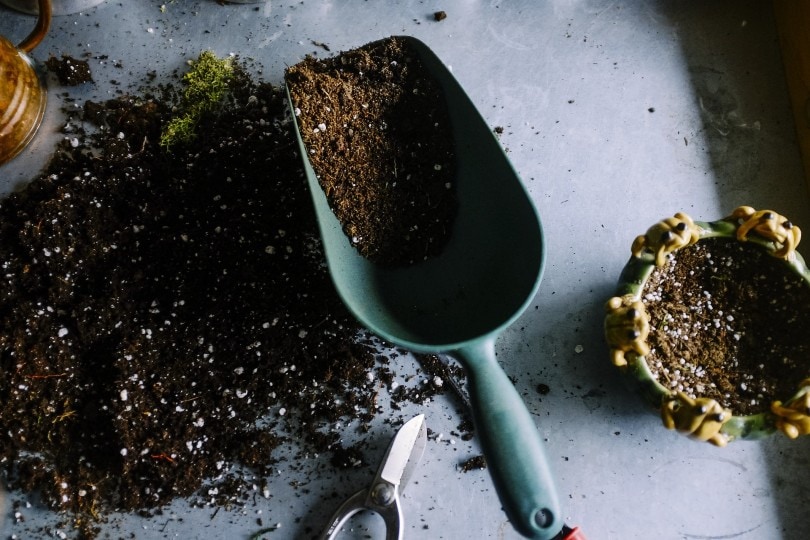 gardening soil with cat litter