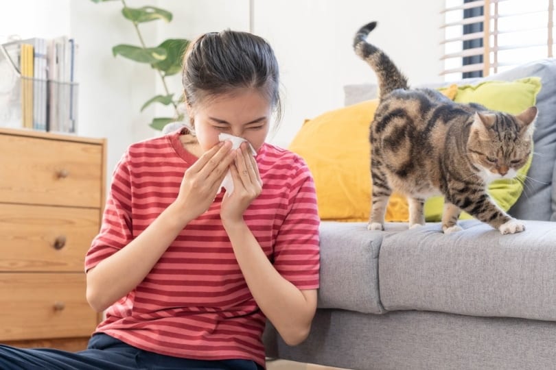 girl sneezing near cat