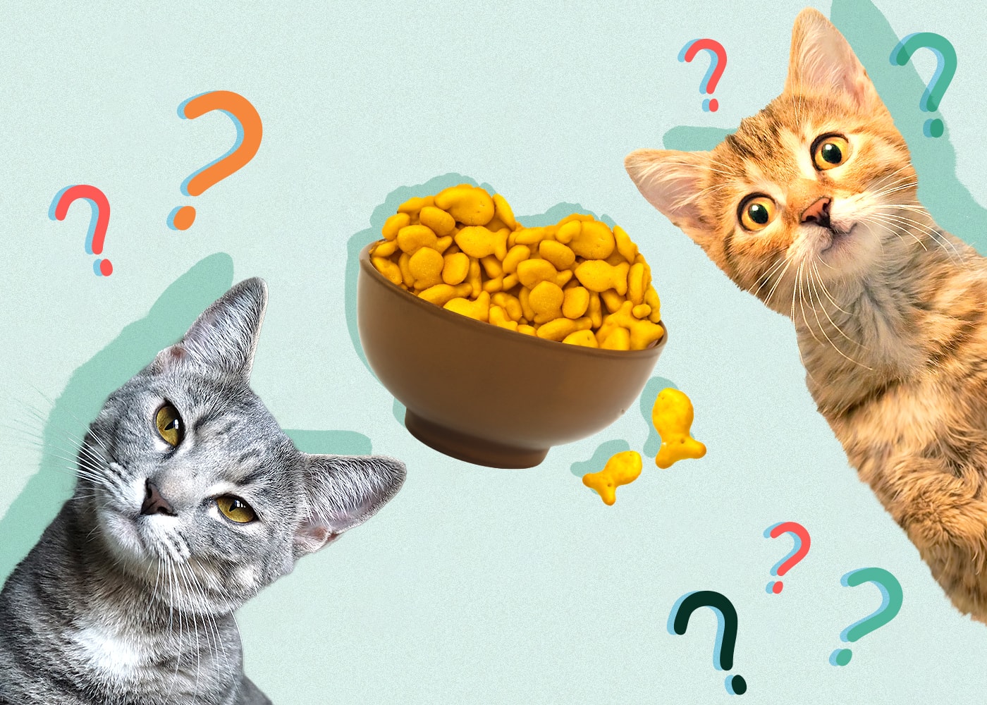 Can Cats Eat Goldfish Crackers