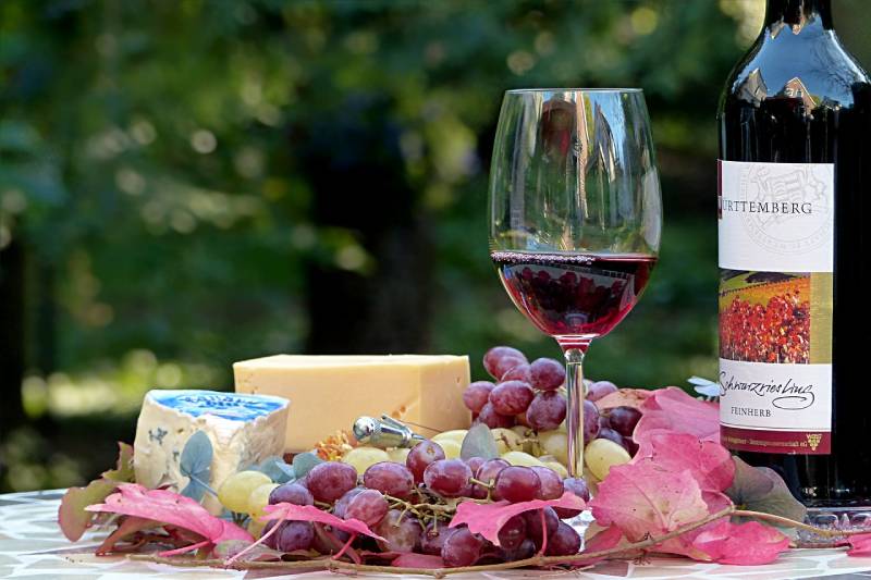 grapes, wine and cheese