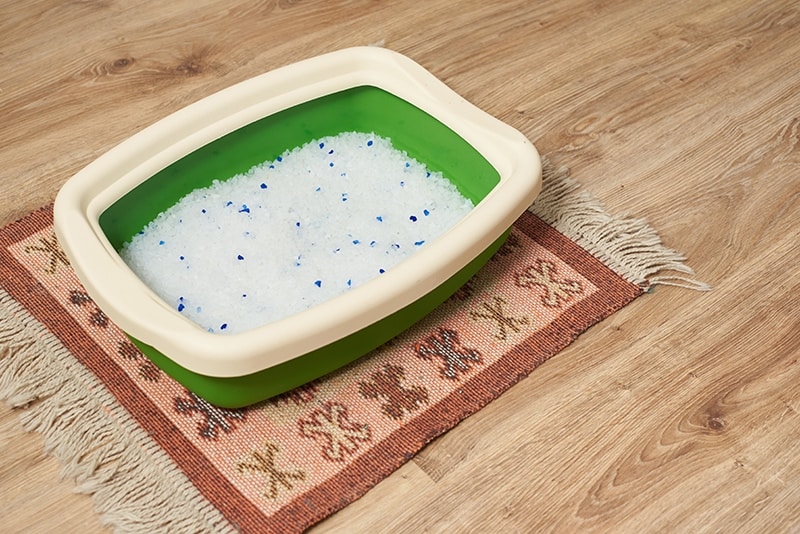 green litter box with crystal litter
