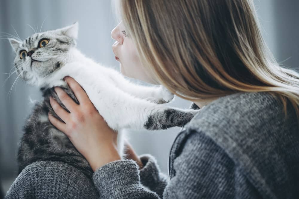 grey-and-white-cat-paws-on-owner-pushing-away