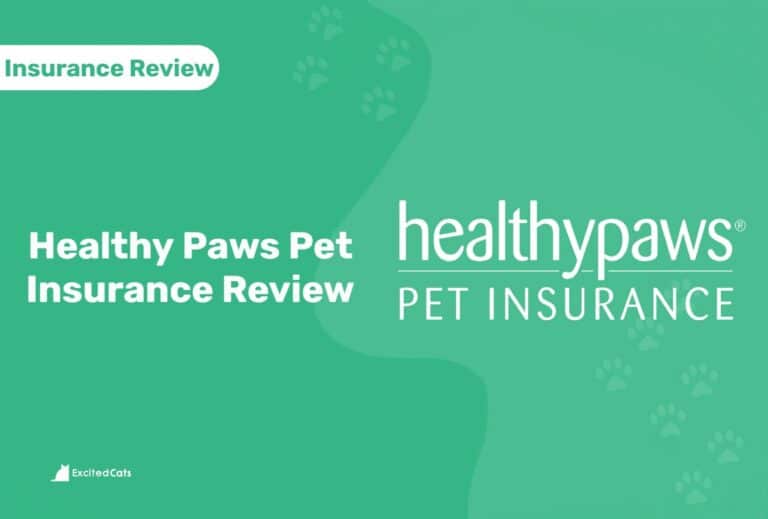Healthy Paws Pet Insurance Review in 2024 Pros, Cons & Verdict Catster