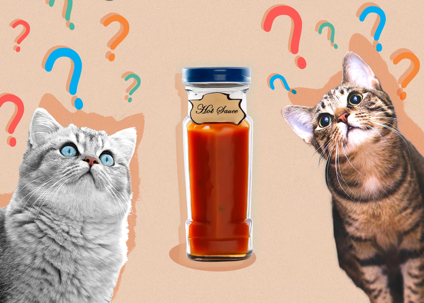 Can Cats Eat Hot Sauce