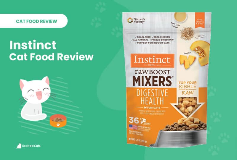 instinct cat food review