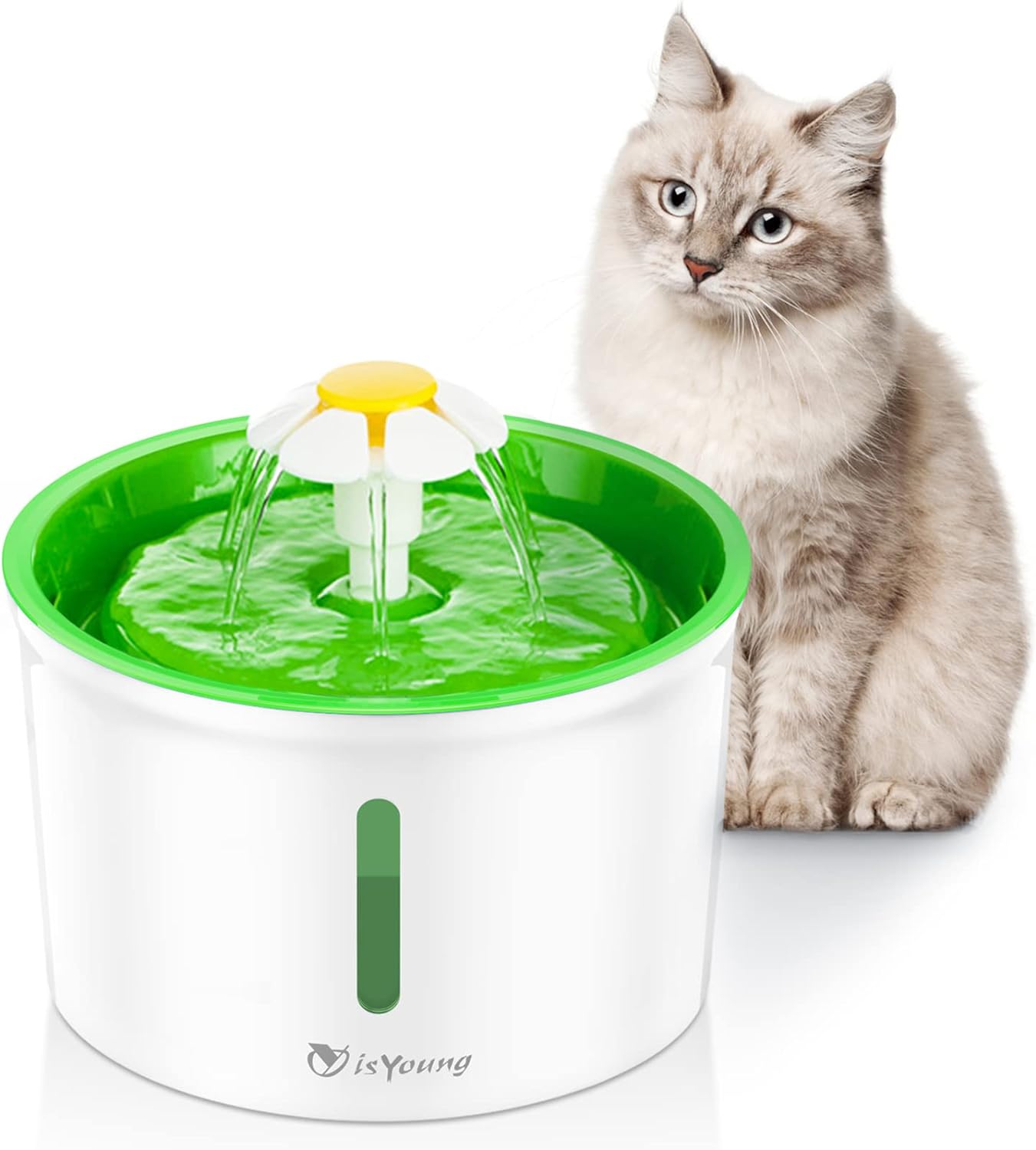 isYoung Cat Fountain